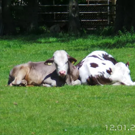 Hendrik Zuidschermer