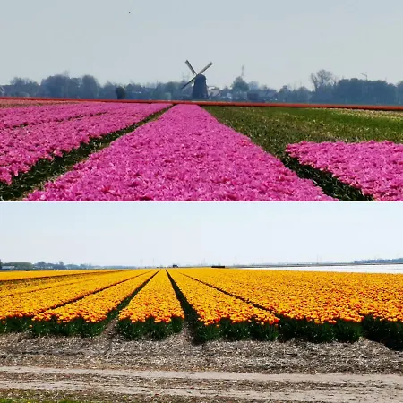 Hendrik Frühstückspension Zuidschermer