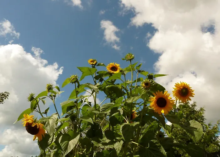 Hendrik Bed & Breakfast 3*