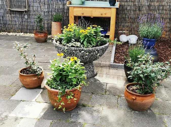 Hendrik Bed & Breakfast Zuidschermer