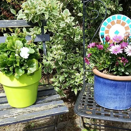 Hendrik Bed & Breakfast 3*