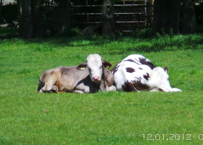 Hendrik Zuidschermer