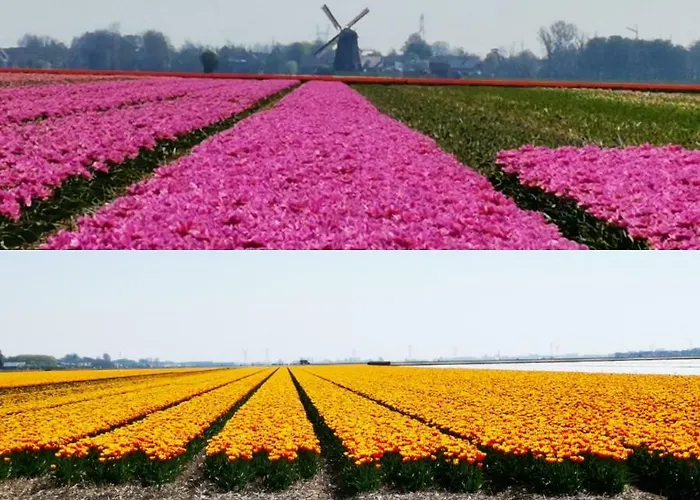 Hendrik B&B Zuidschermer